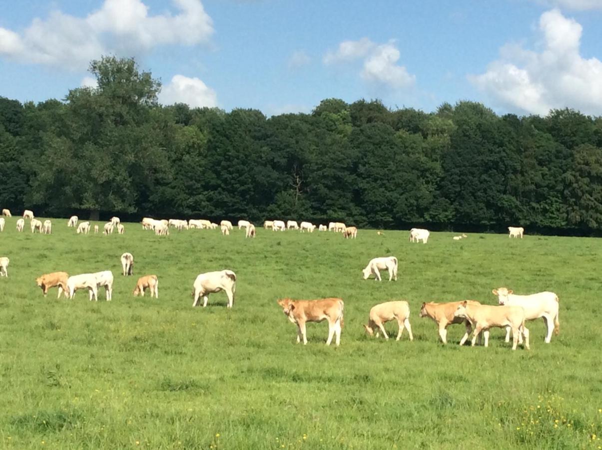 Aux Bois Dores De La Ferme De Sorval, Animaux De La Ferme, Fitness Selvigny Zewnętrze zdjęcie