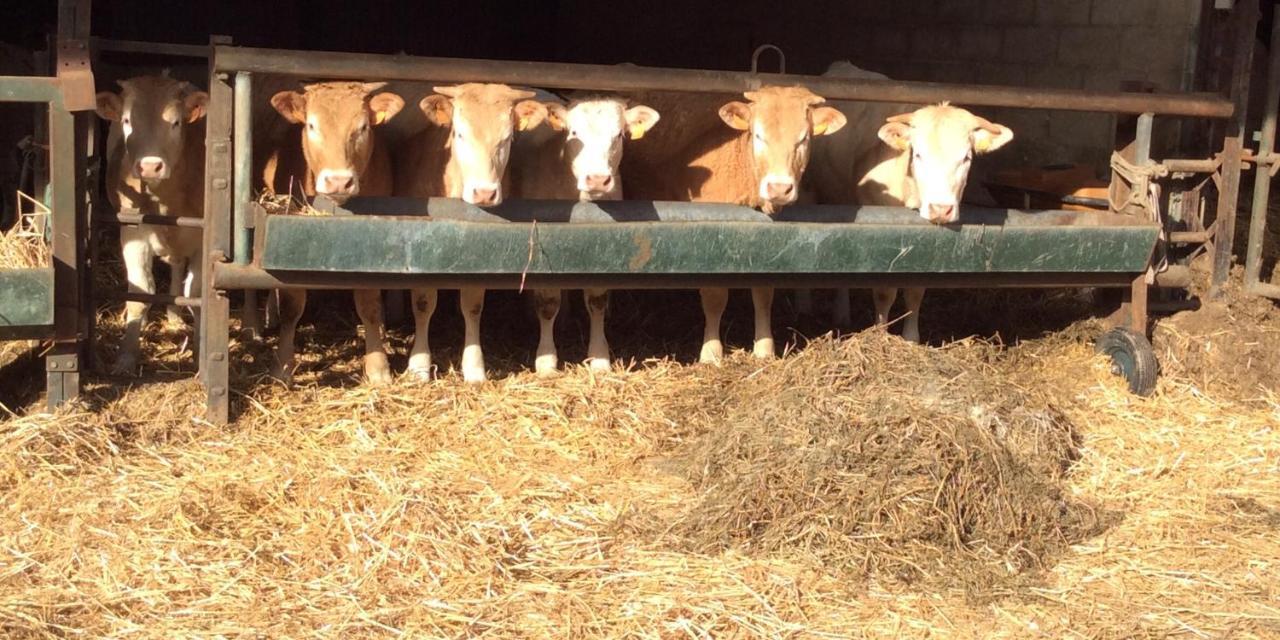 Aux Bois Dores De La Ferme De Sorval, Animaux De La Ferme, Fitness Selvigny Zewnętrze zdjęcie