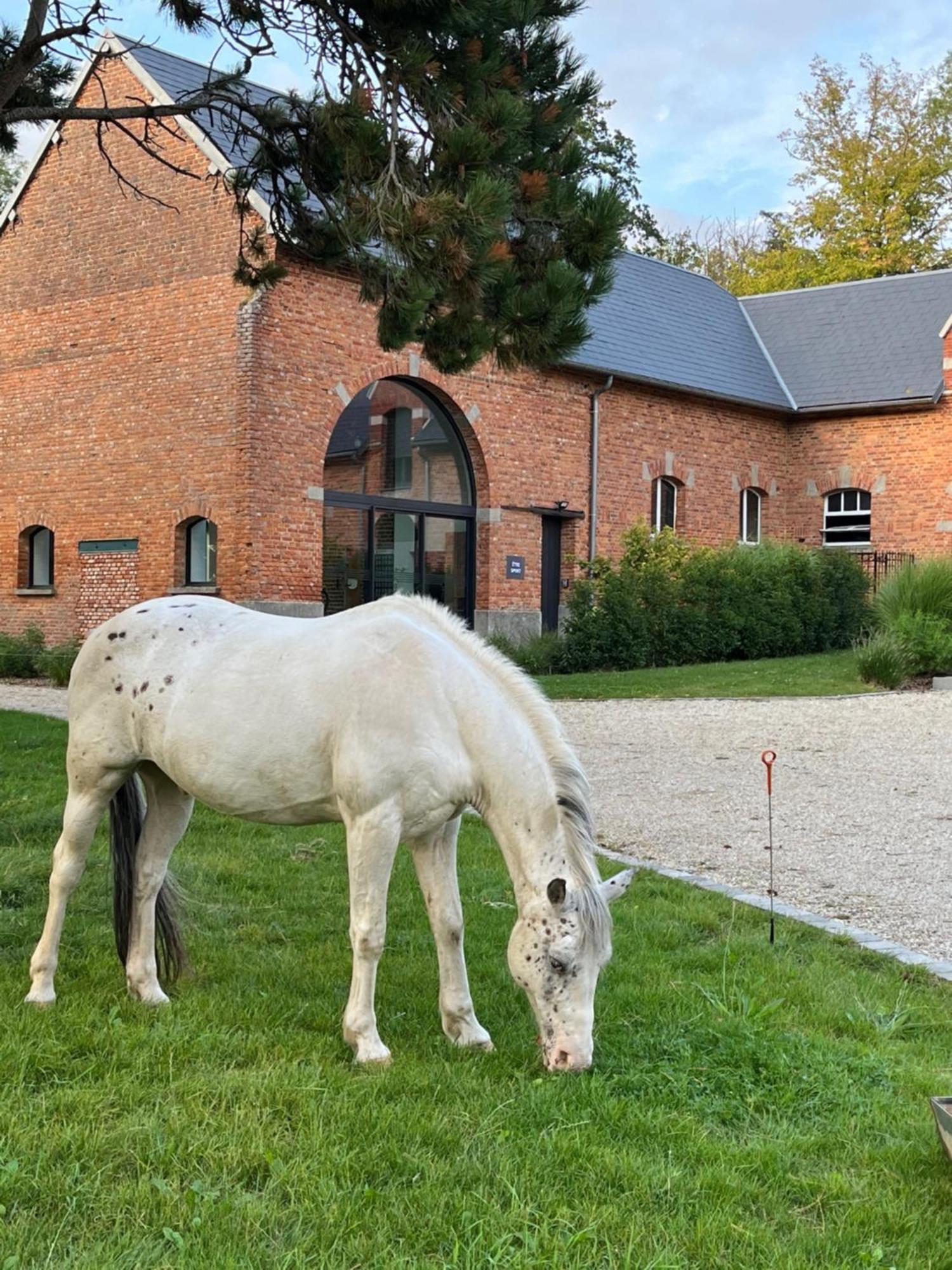 Aux Bois Dores De La Ferme De Sorval, Animaux De La Ferme, Fitness Selvigny Zewnętrze zdjęcie